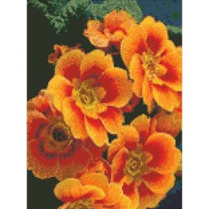 АМ 6103 (30х40)-700x700 АМ 6103 (30х40)-700x700