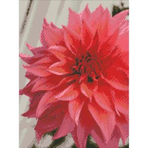 АМ 6104 (30х40)-700x700 АМ 6104 (30х40)-700x700