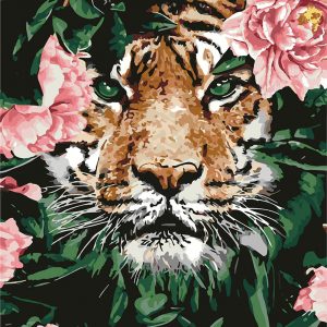 КН 4172_контур