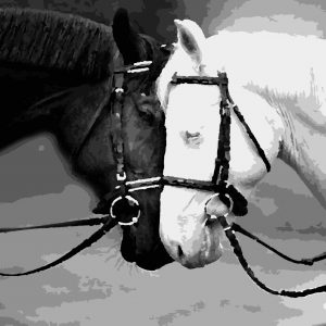 изображение_viber_2020-07-07_19-57-421