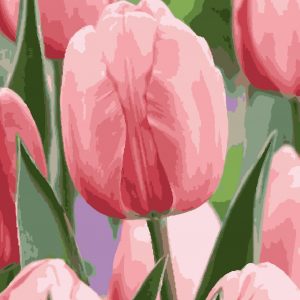 изображение_viber_2020-07-07_19-57-43