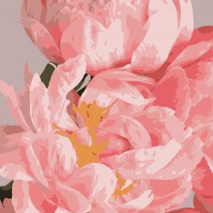 изображение_viber_2020-07-07_19-57-451