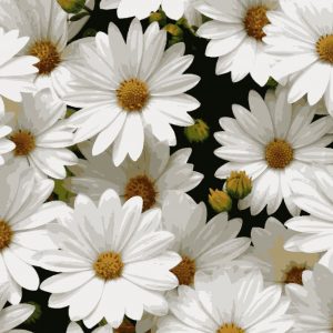 изображение_viber_2020-07-07_19-57-47