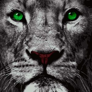 изображение_viber_2020-09-07_17-40-04