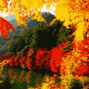 изображение_viber_2020-09-16_09-54-28