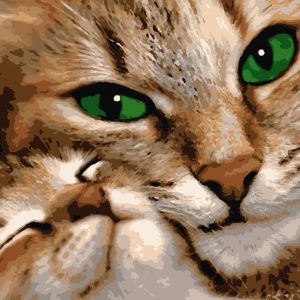 изображение_viber_2020-09-25_13-49-13