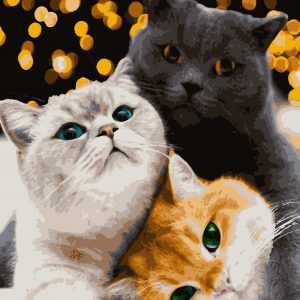 изображение_viber_2021-01-06_13-51-55