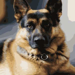 изображение_viber_2021-05-08_01-12-05