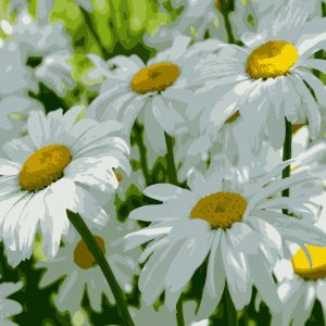 изображение_viber_2021-06-19_15-52-11