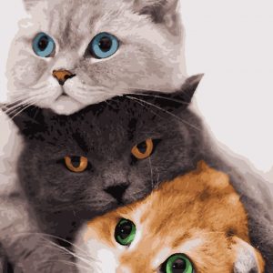 изображение_viber_2021-10-07_17-39-28-531