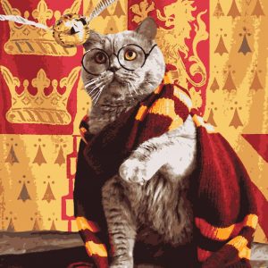 изображение_viber_2021-10-07_17-39-33-336