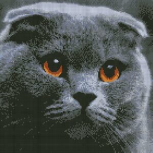 AMO7003.1800x1800w AMO7003.1800x1800w