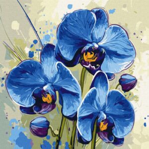 3344.1800x1800 3344.1800x1800